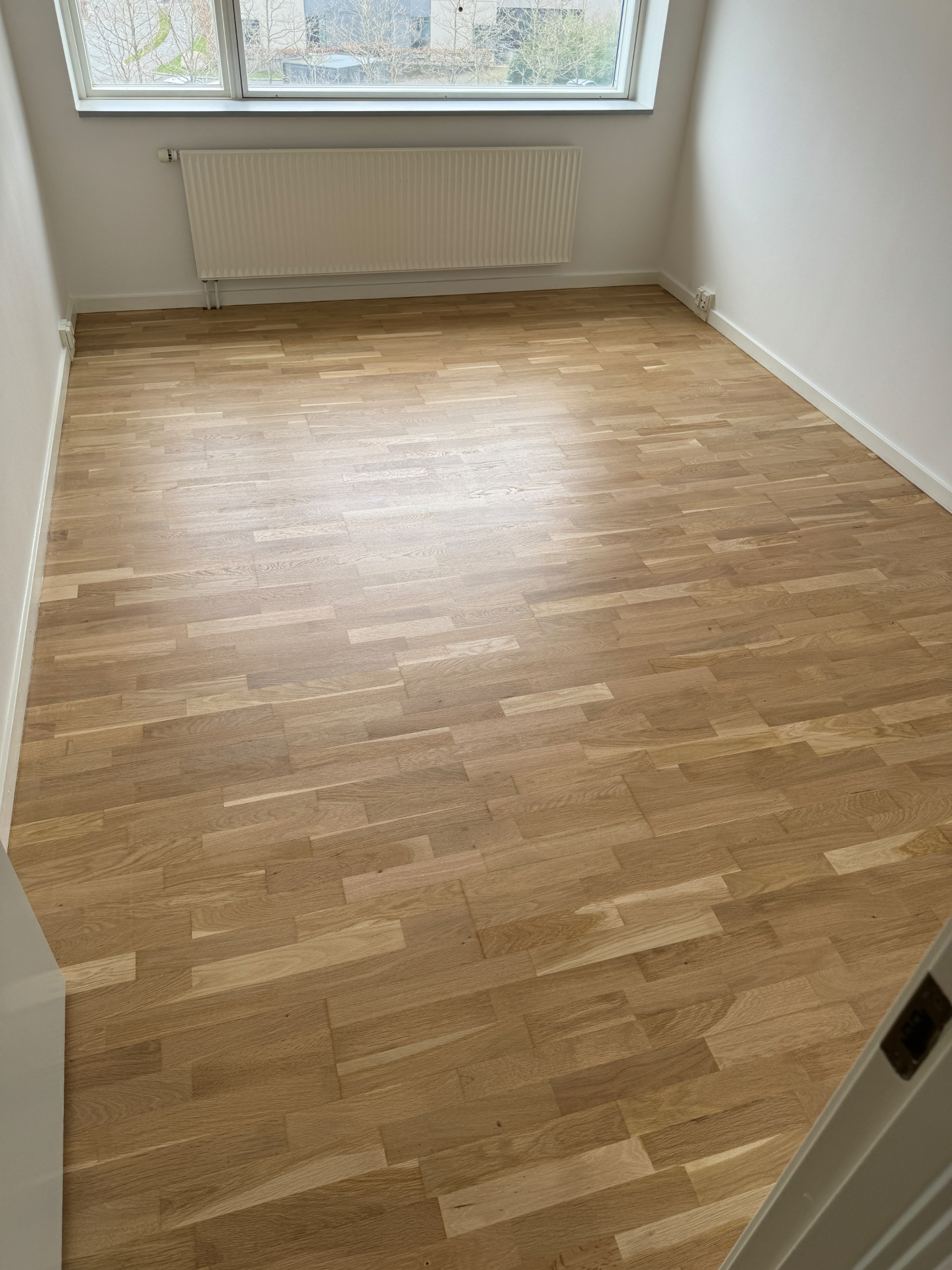 Sildebensparket behandlet med natur mat lak